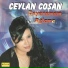 Ceylan Coşan