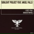 Sunlight Project feat. Angel Falls