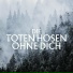 Die Toten Hosen