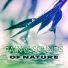 Nature Meditation Academy