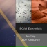 BGM Essentials