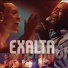 Exalta samba