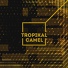 Tropikal Camel