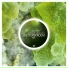 Wetterstroem