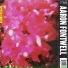 Aaron Fontwell - Aaron Fontwell - Crystal Coated