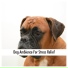 Relaxing Dog Music