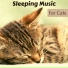 Sleeping Cats Music
