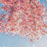Foluctuationpod