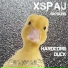 Xspaj