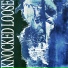 Knocked Loose