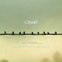 Cibø
