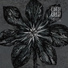 (Радио Коза) Lori! Lori!
