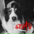 Stup!d