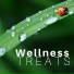 Wellness Adult