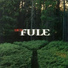 Den Fule