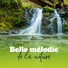 Ensemble de Musique Zen Relaxante