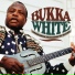 Bukka White