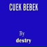 Destry