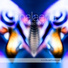 Phalaena