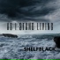 shelfblack