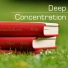 Concentration Lacour