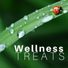 Wellness Adult