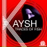Kaysh feat. Lisa War