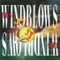 Les Windblows