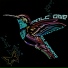 Palc One