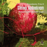 Steinar Aadnekvam, Rubem Farias, Deodato Siquir