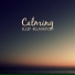 Best Relaxation Music
