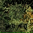 Wildweed