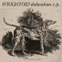 Wrightoid