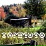 Zammuto