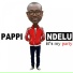 Pappi Ndelu