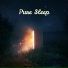 Music For Absolute Sleep