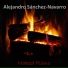 Alejandro Sanchez-Navarro