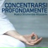 Focus Maestro