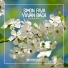Simon Fava, Yvvan Back
