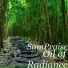 SamPraise