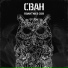 Сван