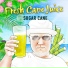 Sugar Cane