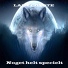 Lady Coyote