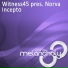 Witness45 Pres. Norva