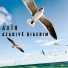 Hozan Axin