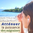 Fréquence Antimigraine