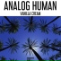 Analog Human