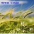 Churni