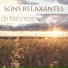 Sons da Natureza Relax & Natureza