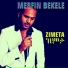 Mesfin Bekele